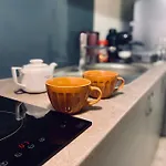 公寓 Central Loft 克卢日-纳波卡