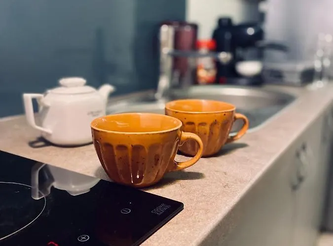 شقة Central Loft كلوج-نابوكا